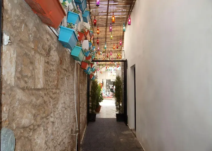 Avenue 3* キレニア